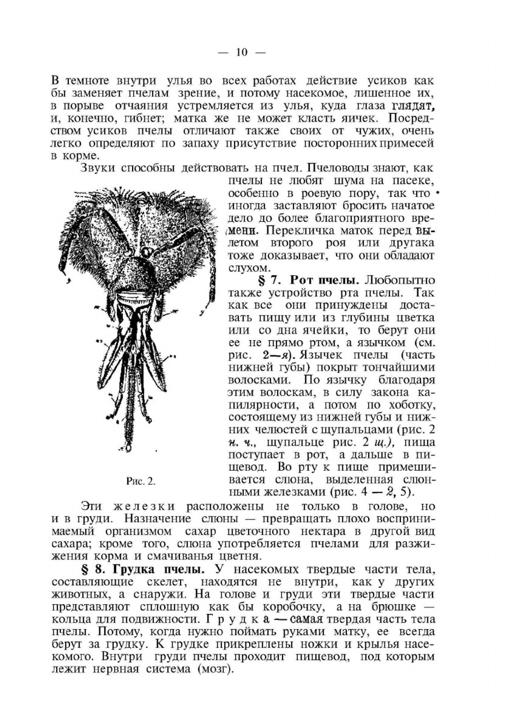 Самоучитель пчеловодства | А.С. Буткевич