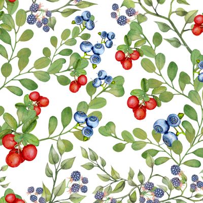 Seamless texture of branches of green grass and wild berries on a white background.