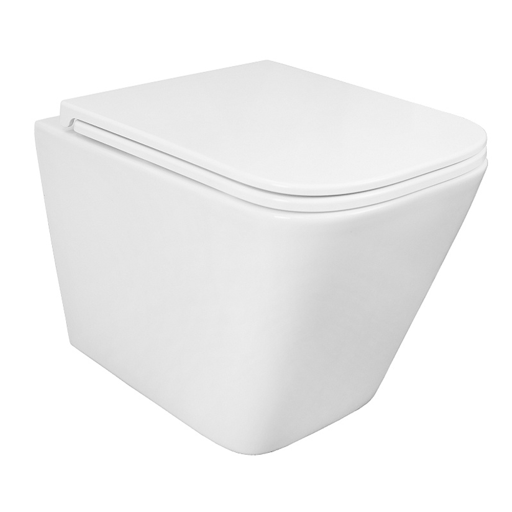 Унитаз подвесной Azario PRO 340х490х350 безободковый, в комплекте с быстросъемным сидением микролифт (PRO-002)