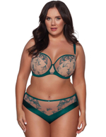 Полумягкий бюстгальтер с вышивкой Ava RAFIA 2087 PU emerald