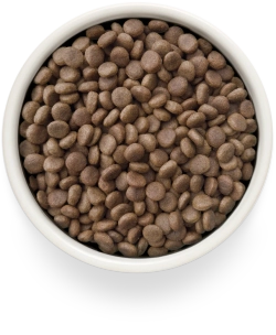 Grandorf GASTROINTESTINAL LOW FAT, Gluten & Grain Free, Veterinary Diet (Turkey)