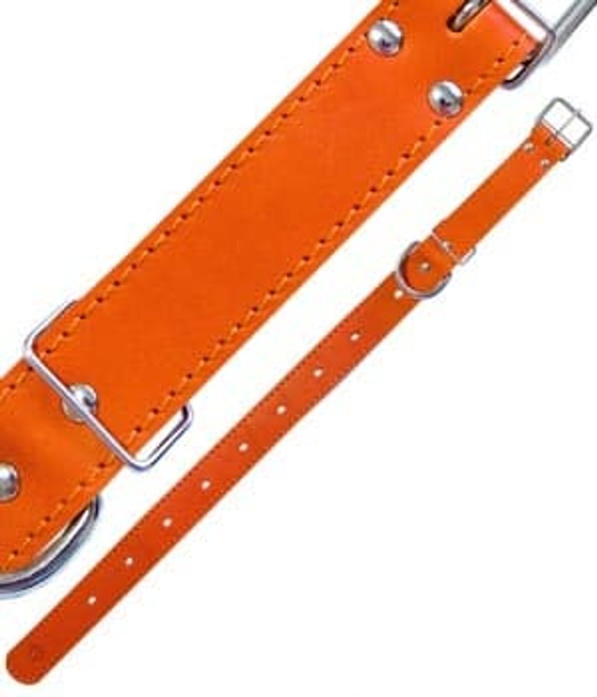 ОШЕЙНИК "BUDDY"  30мм КОЖА Б/Р 25-48см В20210