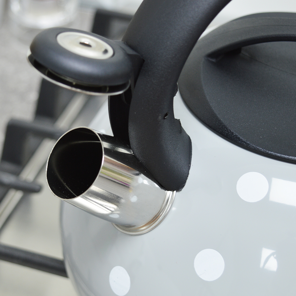 Чайник 3л нерж "Fanhoff" (69690)