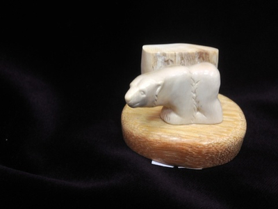 Белый медведь у льдины