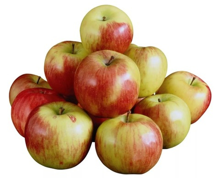 Яблоки "Ветеран" Остромечево Беларусь