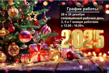 С наступающим Новым 2025 годом!