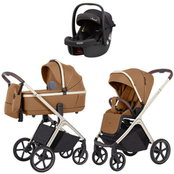 Коляска Carrello Vector CRL-6550 Ammonite AY329 Pro Absolute Black с базой Isofix 3 в 1 Coral Beige