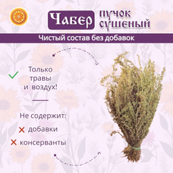 Чабер, пучок 1 шт. ЧРПЧ-00-001