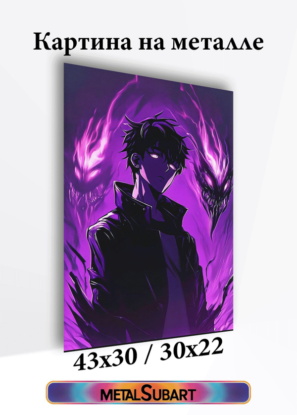 Картина на стену на металле от MetallSubArt "Solo leveling"

                              
