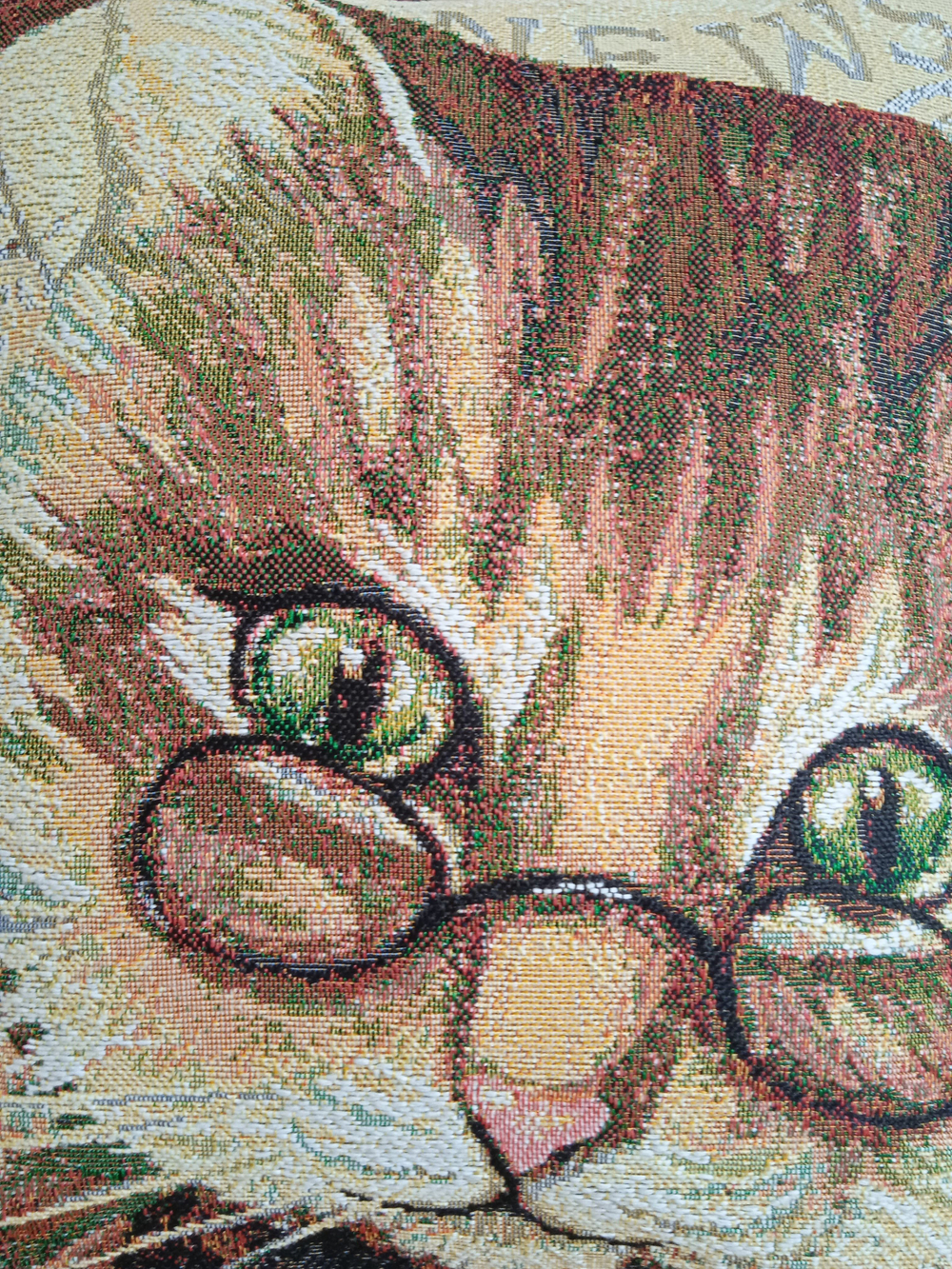 Декоративный гобеленовый чехол для интерьерной подушки Кот ученый 47х47