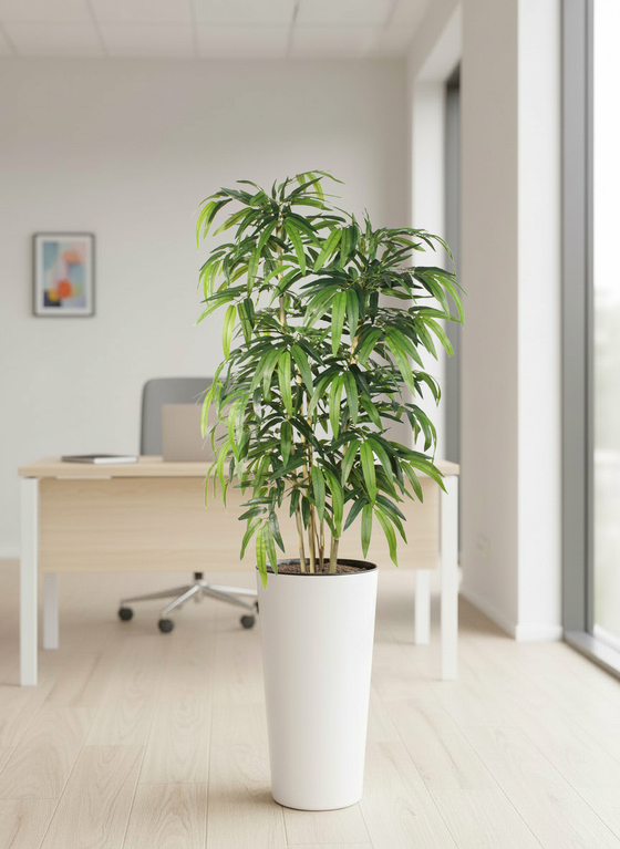 Бамбук темный в высоком белом глянцевом кашпо