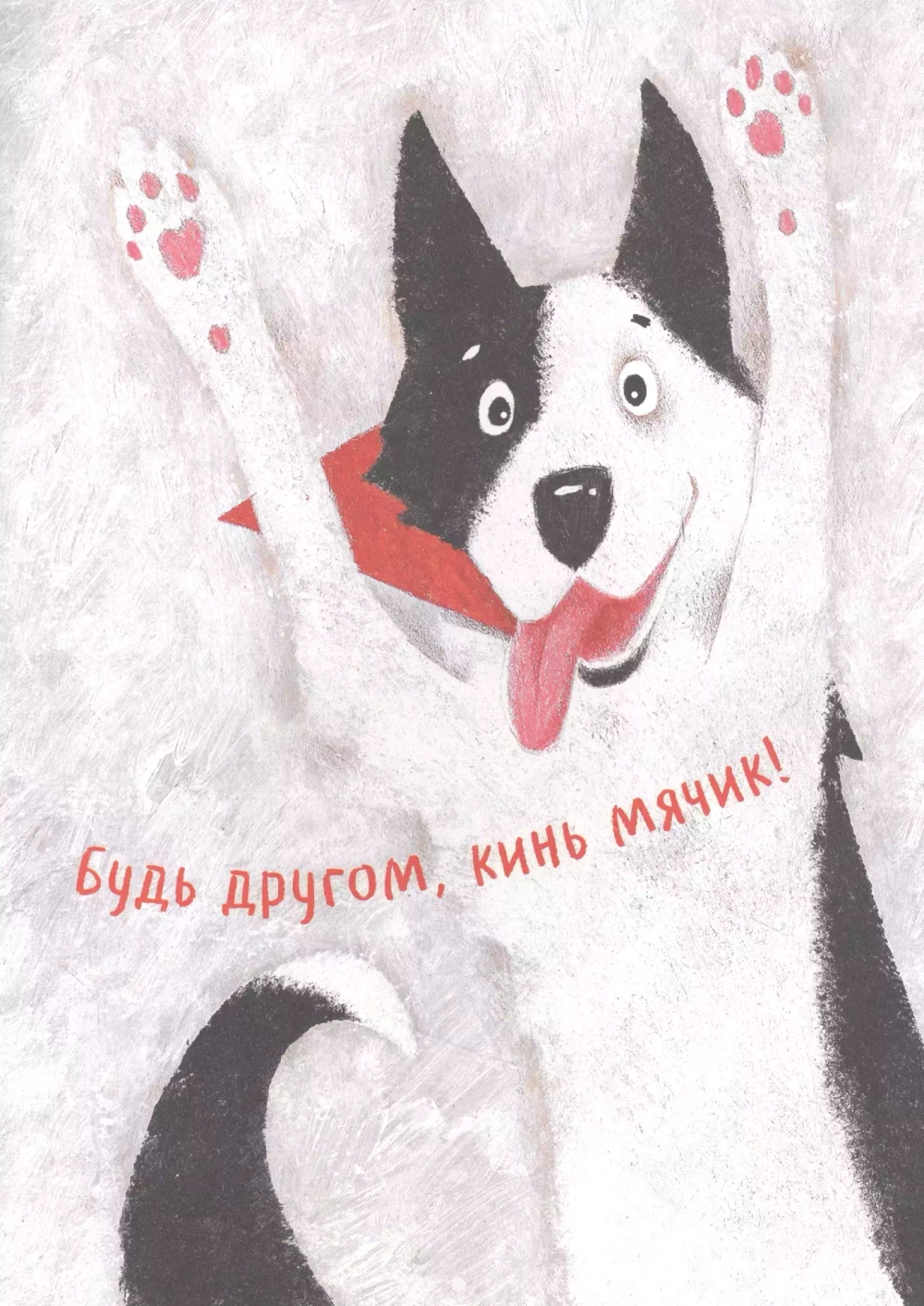 Чао, давай дружить!