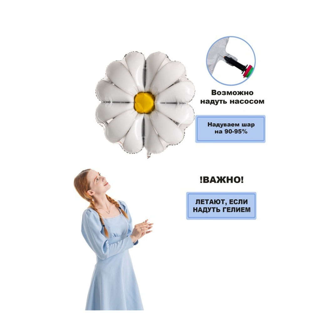 Цветок Ромашка