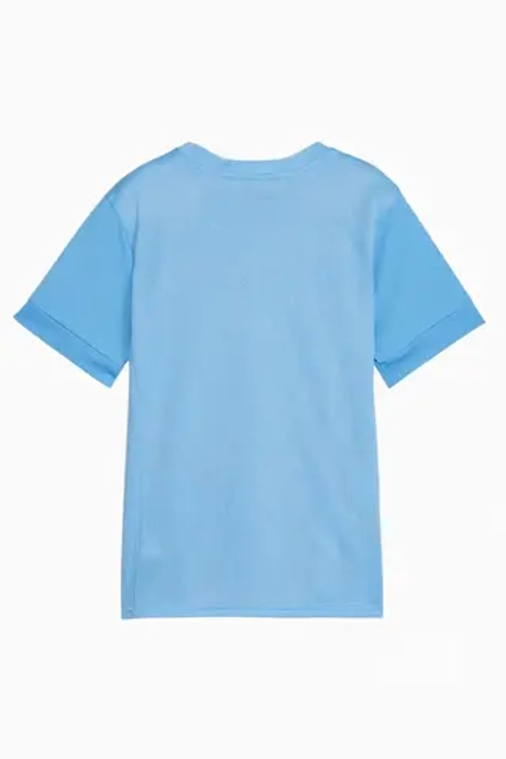 Футболка Puma teamGOAL Matchday Junior - голубой