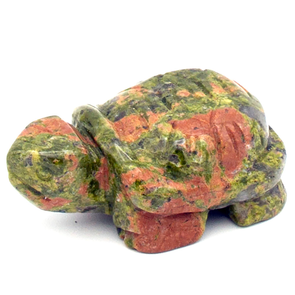 Черепаха унакит асс.