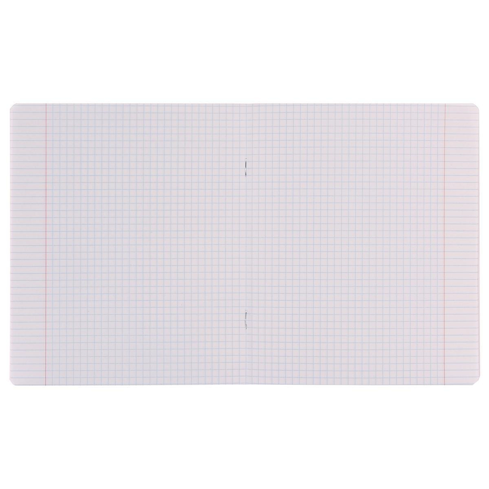 Тетрадь школьная А5 18л клетка "Классика" (ErichKrause)