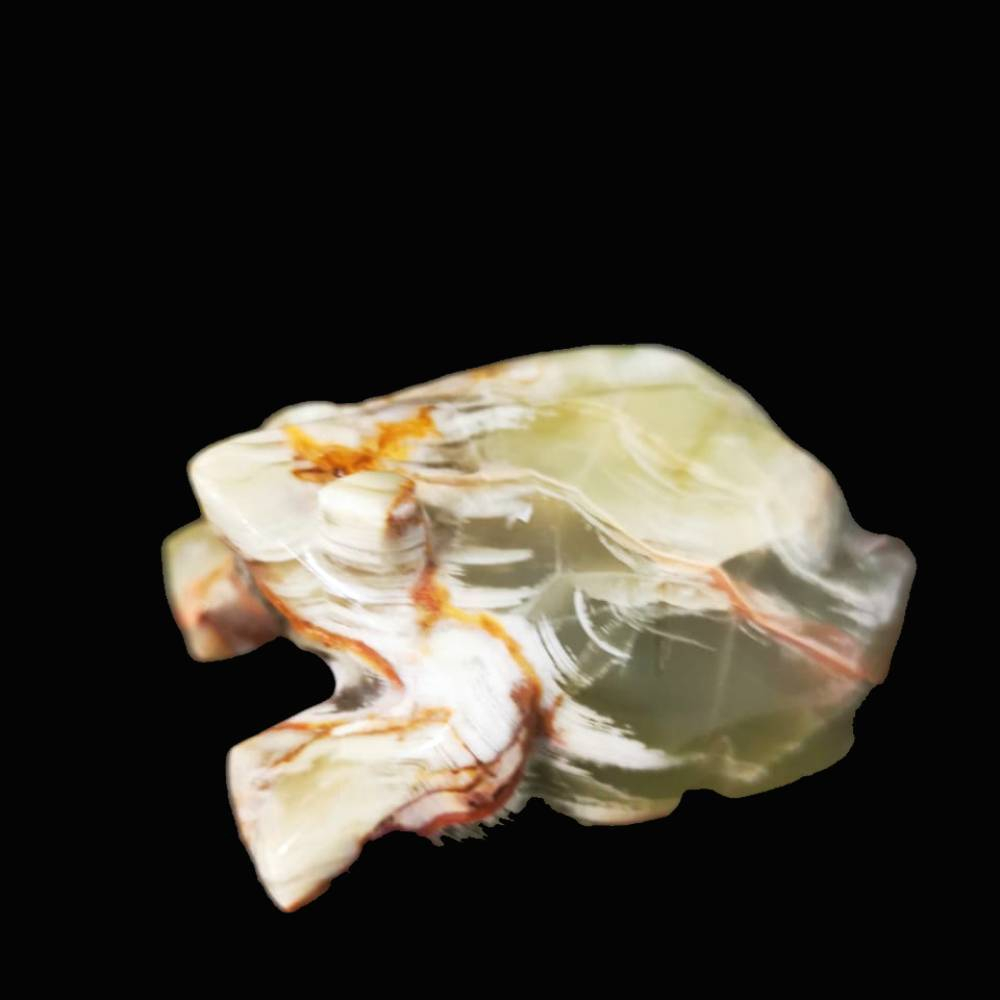 Лягушка оникс асс.