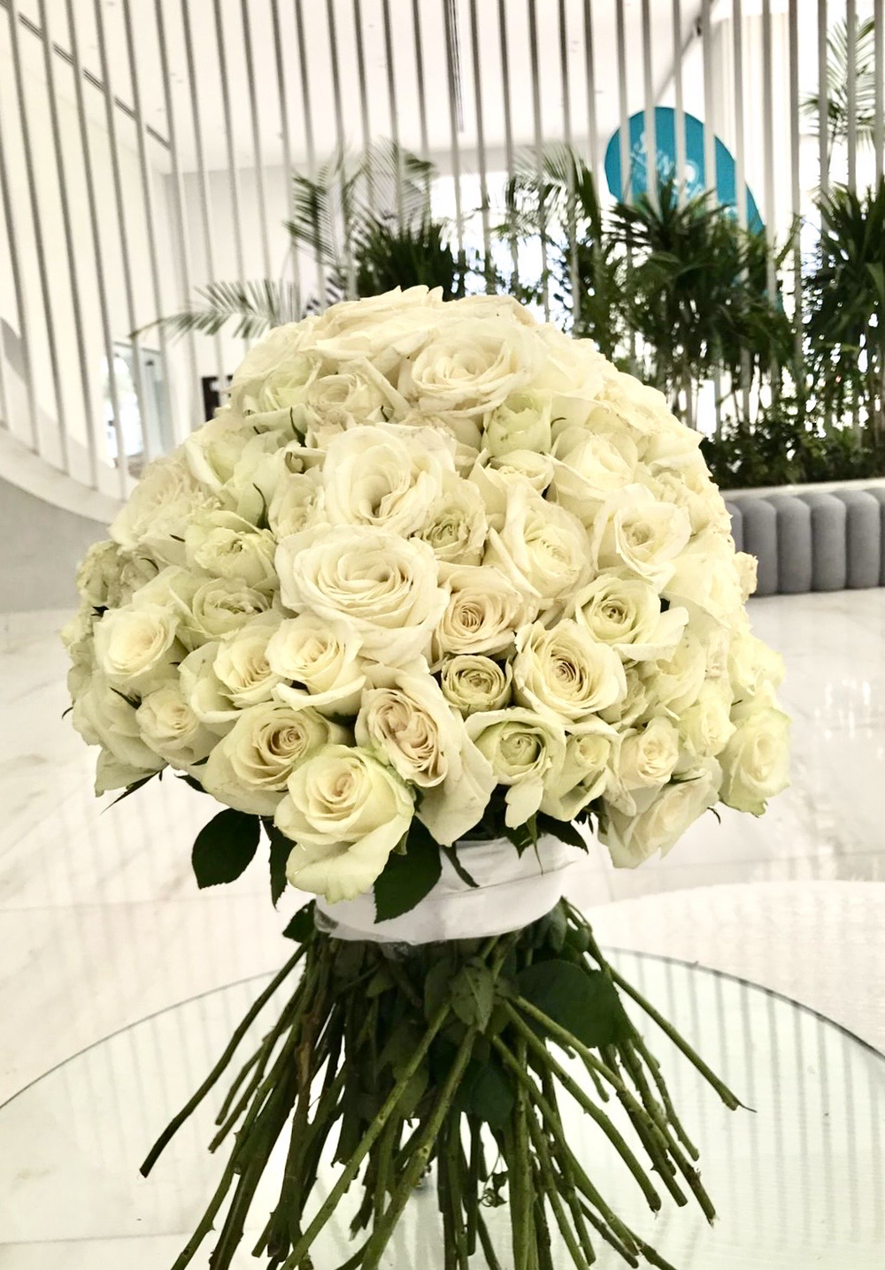 141 Белая Роза