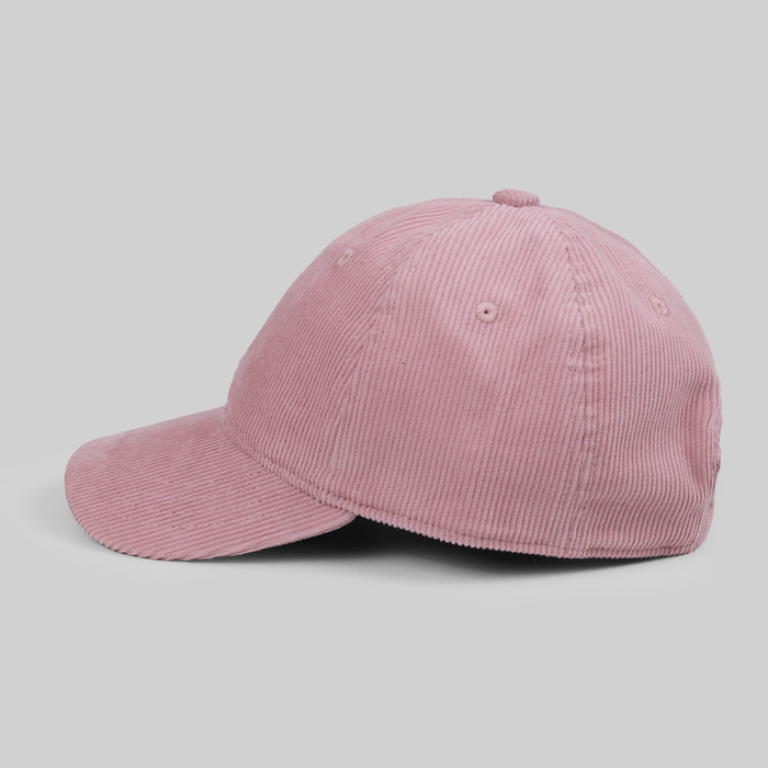 Кепка Carhartt WIP Harlem Cap артикул:I028955 - купить в магазине Дайс