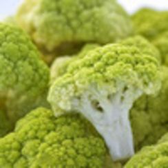 ГРИН ШТОРМ F1 семена капусты цветной (Syngenta | Alexagro)