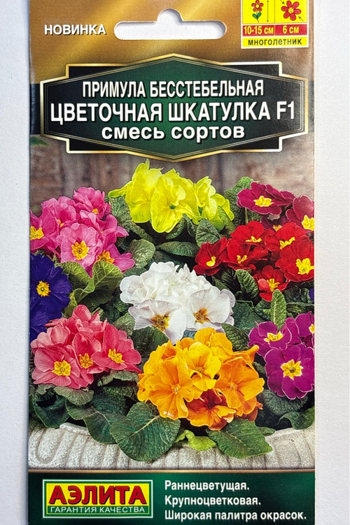 Примула Цветочная шкатулка F1, смесь сортов СМЦ-743
