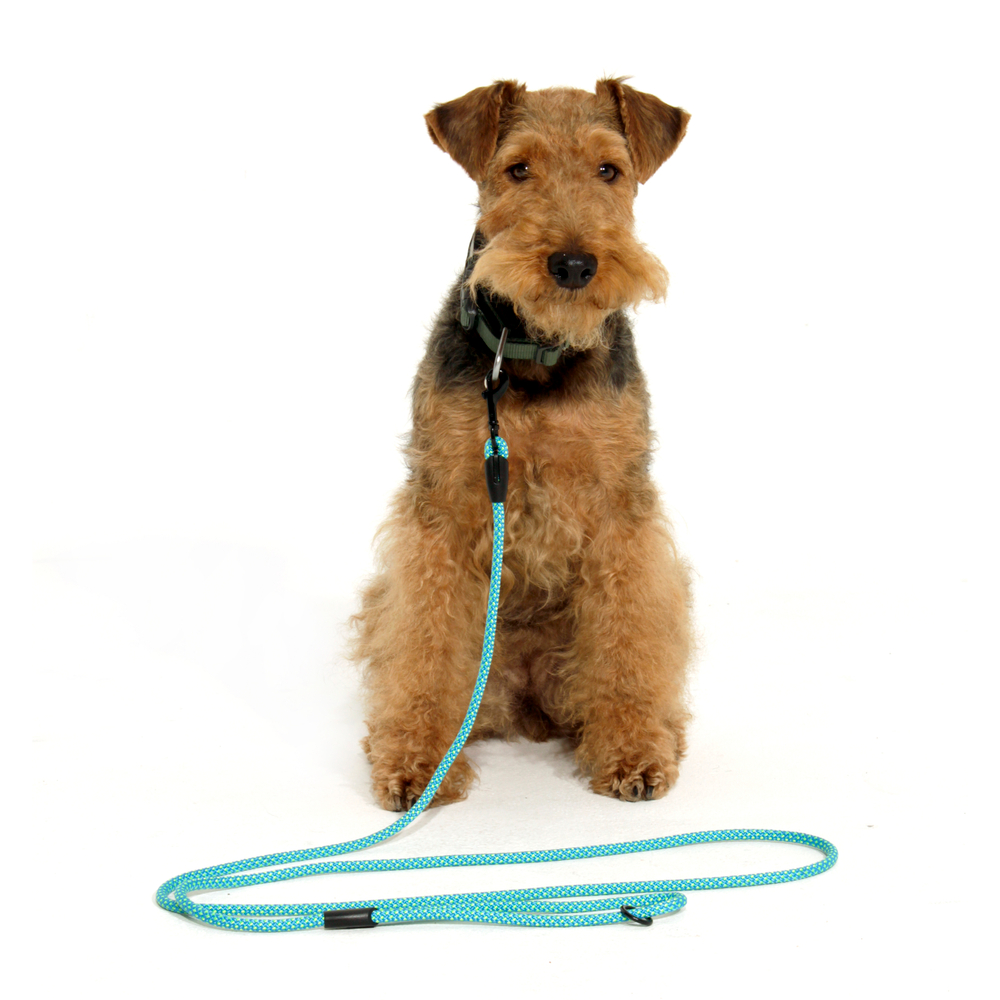 Поводок Weekend Doglea