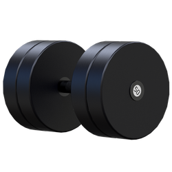 Гантель профессиональная 50кг