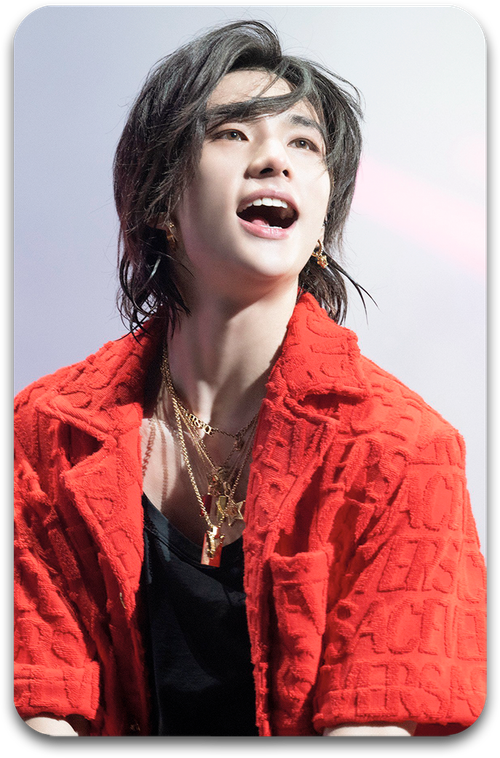 Карта / STRAY KIDS #1269