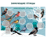 Комплект развивающий Мир птиц. Зимующие птицы 2157
