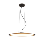 Подвесной светильник Maytoni MOD471PL-L57BK