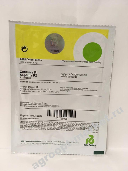 Септима F1 семена капусты белокочанной – фото 6
