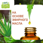 Алоэ вера и чайное дерево, отдушка для свечей и мыла