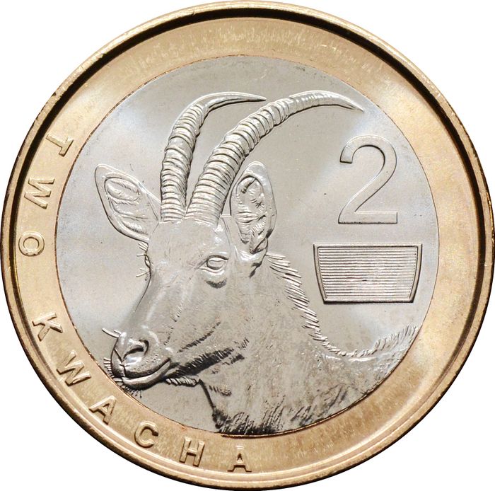 2 квачи 2024 Замбия