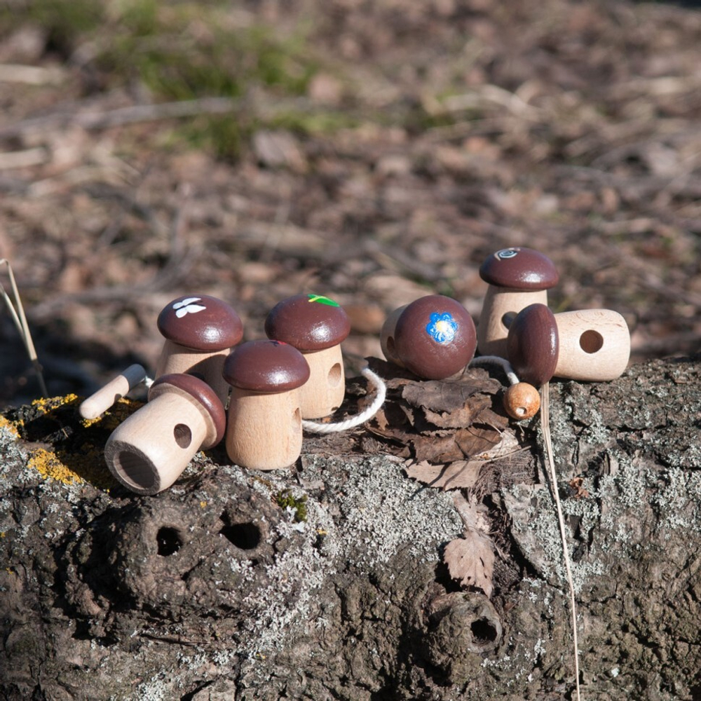 Шнуровка Боровички Леснушки