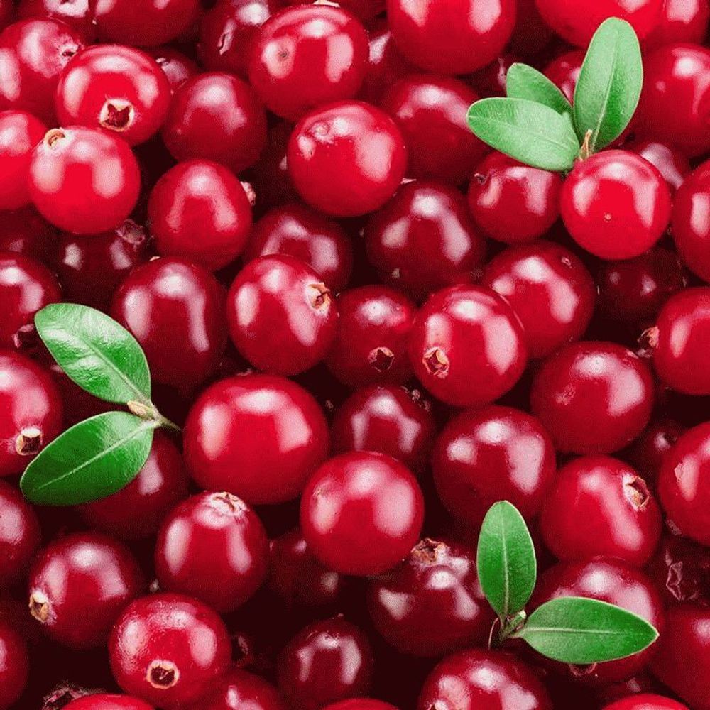 Клюквенный смак (Cranberry Relish)