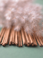 WHITE SAGE индийские благовония-палочки (Shiva Special)