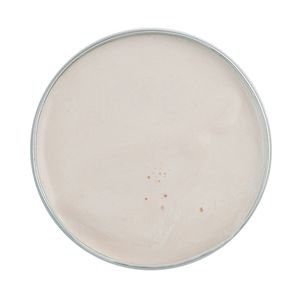 Зубная паста Голодный Леший "Изобилие", 50 мл