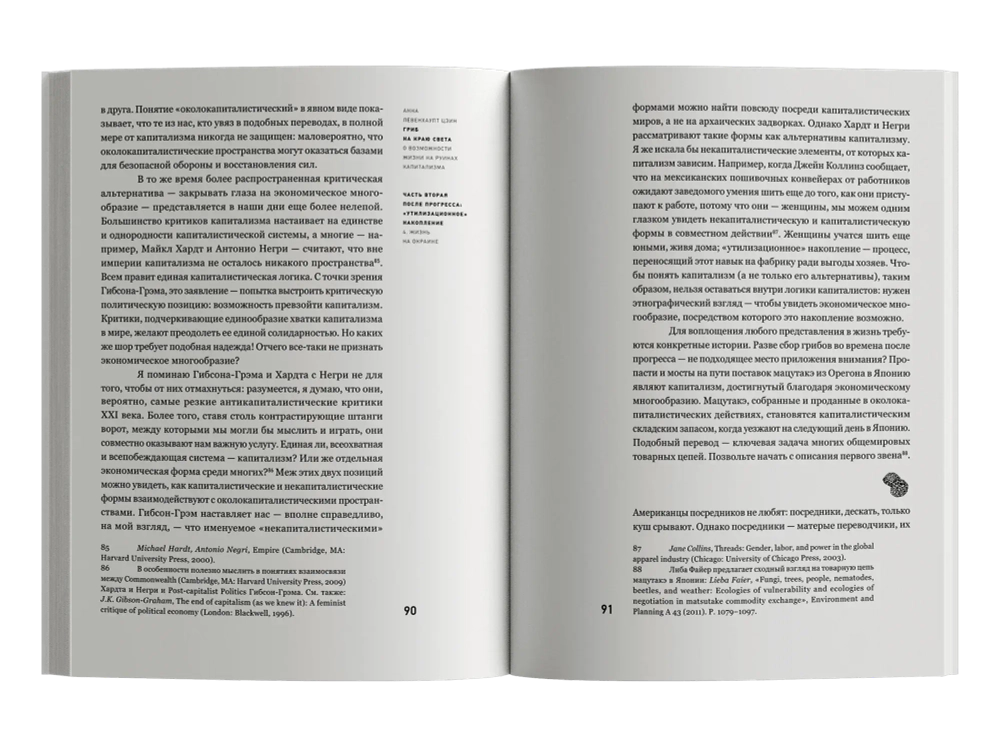 Гриб на краю света