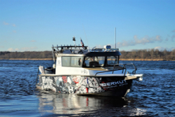 Алюминиевый катер BERKUT Nord Cruiser