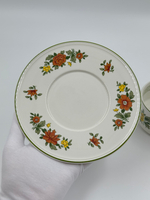 Чайная пара Villeroy & Boch «Summer Day»