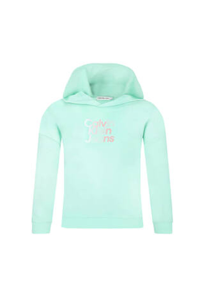 Худые Calvin Klein Jeans - мятный(IG0IG02422)