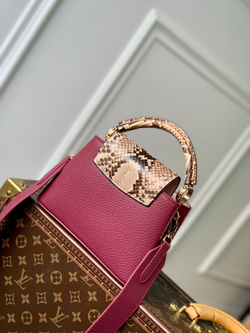 Louis Vuitton Capucines Mini