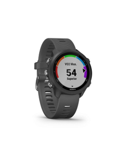 Garmin Forerunner 245 чёрный с серым ремешком беговые смарт-часы с GPS (010-02120-10)