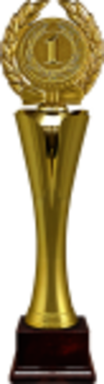 2002-290-001 Награда 29см (Т4) 1 место