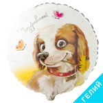 Шар Веселая Затея круг 18" с рисунком Поздравляю Собака с цветком #1202-3251