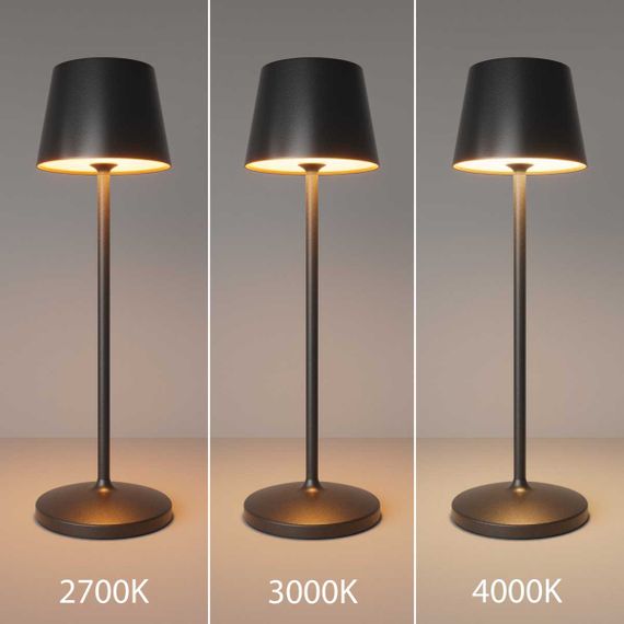 Настольная аккумуляторная лампа Maytoni Modern Nook MOD494RL-L1BK