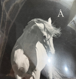 Виниловая пластинка Аквариум ‎– Лошадь Белая LP