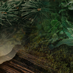 Dr. Vranjes Terra спрей ароматизатор воздуха (аромат Земля)