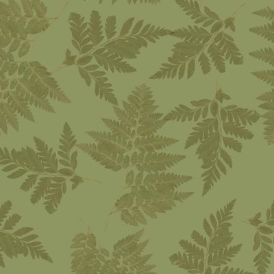 Папоротник