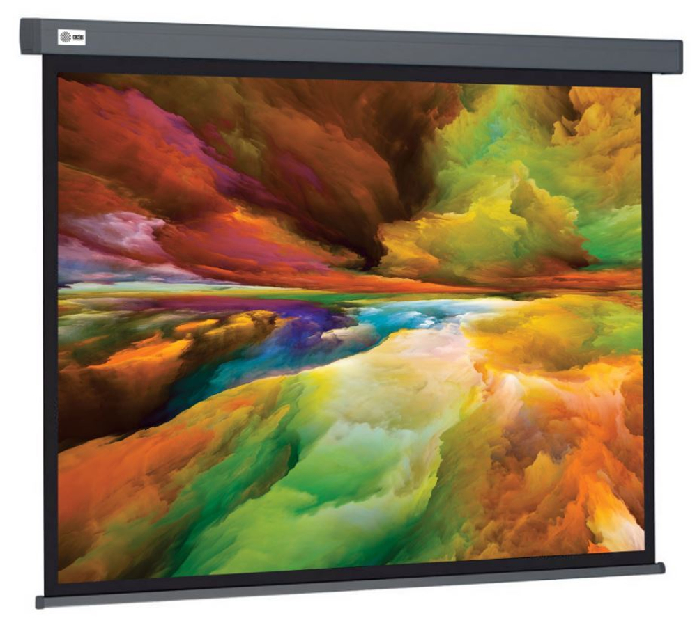 Экран  Cactus CS-PSW-152X203-SG